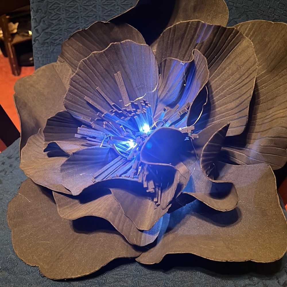 Black Fascinator Hat